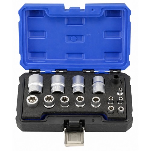 Набор торцевых головок EP 1/4",3/8",1/2",EP4–EP24,14 предметов. VIKTEC VT17600