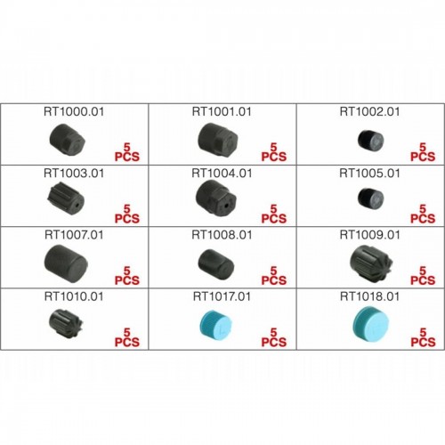 Комплект колпачков для сервисных портов  A/C (12видов) 60шт. RK1052 ERRECOM