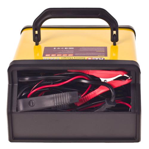 Зарядное устройство импульсное PULSO для AMG-GEL-SLA 12&24V/ 10-190AHR/ (BC-12245)