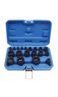 Набор торцевых головок TORX Plus EP4-EP32, 1/4", 3/8", 1/2", 19 предметов SATRA S-90230