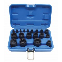 Набор торцевых головок TORX Plus EP4-EP32, 1/4", 3/8", 1/2", 19 предметов SATRA S-90230