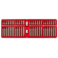 Набор бит TORX HEX SPLINE 54 предмета D-10мм ShiningBerg (113095)
