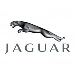 Jaguar Jaguar