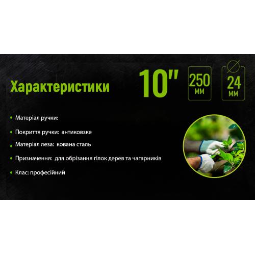 Секатор 250 мм (PS-22250) Alloid (PS-22250)