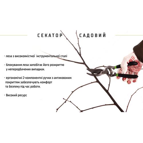Секатор 250 мм (PS-22250) Alloid (PS-22250)