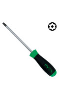 Викрутка TORX T25 з отвором TOPTUL FEAB2510